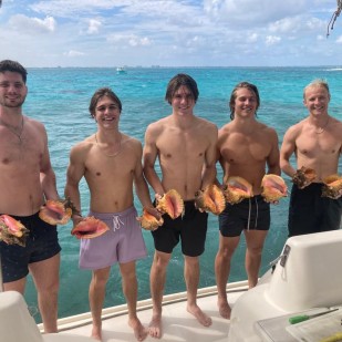 Conch finding